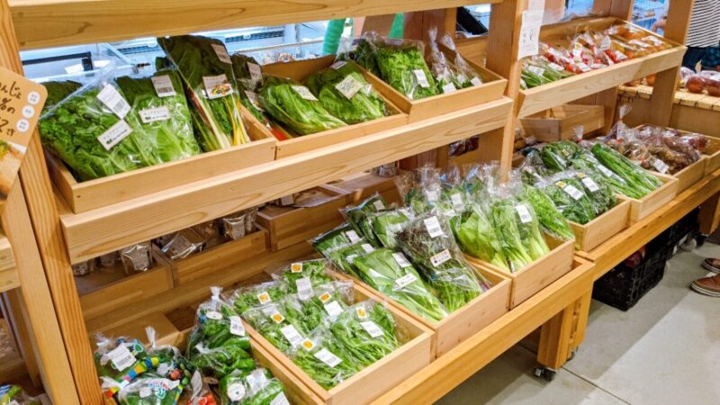 石川県の道の駅「のと千里浜」の野菜直売所