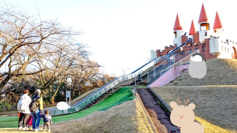 加賀市中央公園の長い滑り台