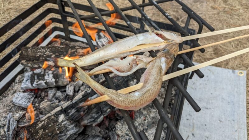 DIY溶接で自作した焚き火台と五徳で魚を焼く